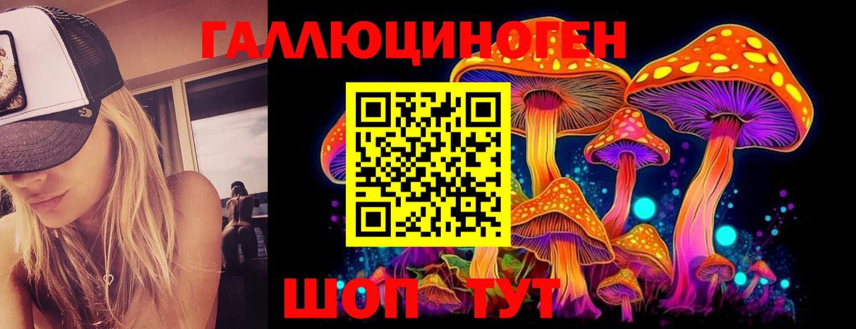 Псилоцибиновые грибы Psilocybine cubensis  Вход с VPN  Фролово 